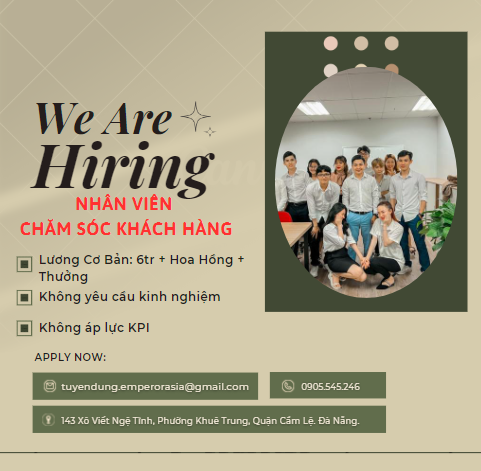 lĩnh vực hoạt động